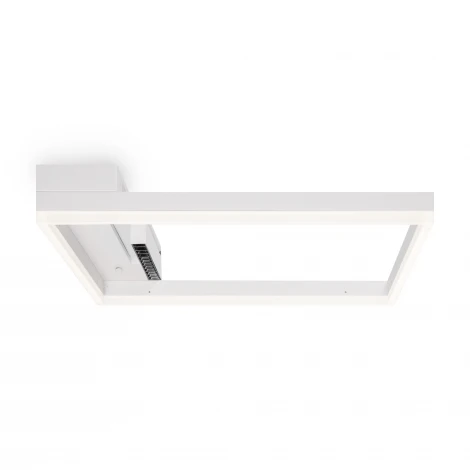 Потолочный светильник Freya Frame FR6084CL-L82W