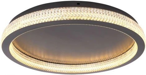 Потолочный светильник круглый Lussole Screven LSP-7327 (LED, 220V, круглые)