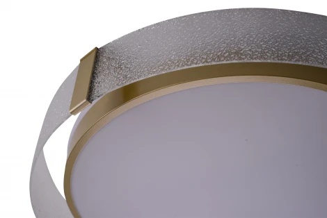 Потолочный светильник круглый Zortes Gerda ZRS.1097.60 (LED, 220V, круглые)