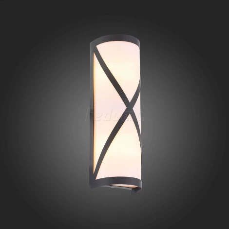 Настенный светильник уличный ST Luce Agio SL076.411.01 (220V, IP54)