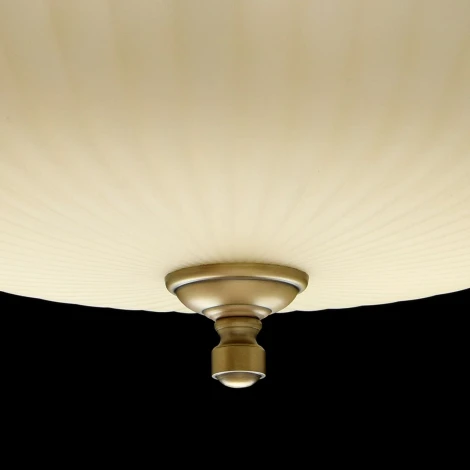 Подвесная люстра MW-Light Афродита 317010809