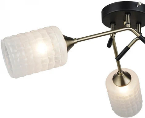 Потолочная люстра Wedo Light Noverate 66673.01.37.03