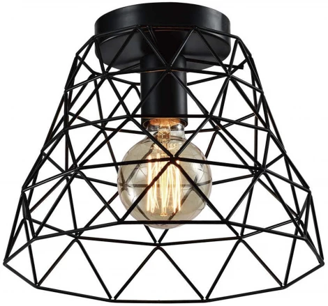 Светильник потолочный Molly 5091-201 1 х Е27 40 Вт