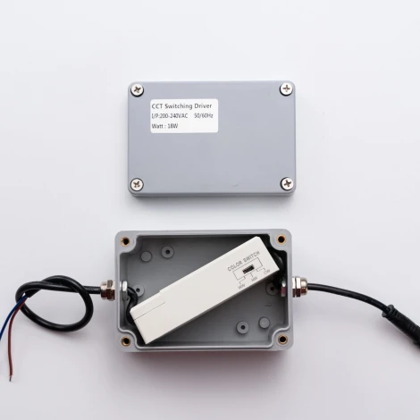 Потолочный светильник уличный Favourite Riga 4862-2U LEDx18W 3000/4000/6500K