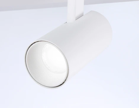 Потолочный светильник светодиодный Ambrella Comfort FL66201 (регулировка яркости, 220V, пульт управления, на проводе, шарики)