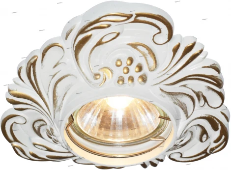 Встраиваемый точечный светильник Arte Lamp Occhio A5285PL-1SG (220V)