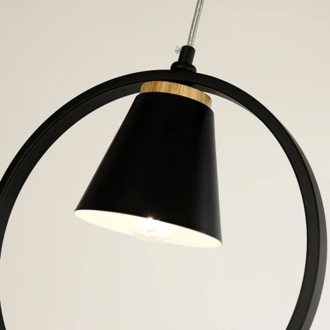 Подвесной светильник F-Promo Uccello 2938-1P (220V, на проводе, кольцо, птички)