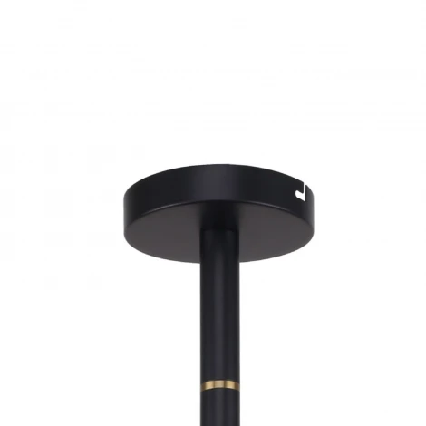 Потолочная люстра на штанге Favourite Eternity 2766-12P (220V, шарики)