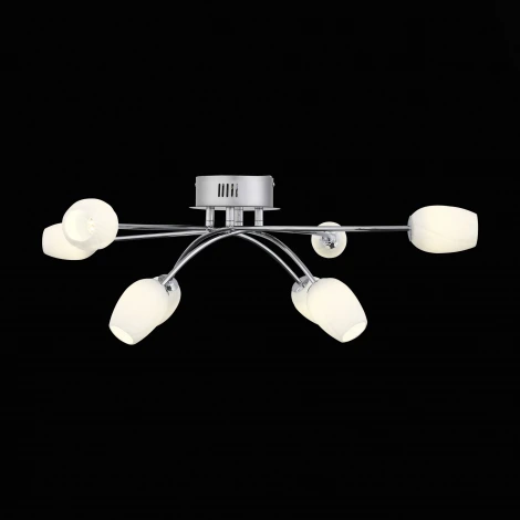 Потолочная люстра ST Luce Luna SL478.102.08