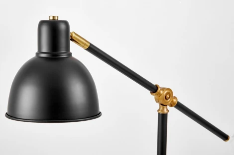 Настольная лампа Lumina Deco Zula LDT 7736-1 BK+MD (220V)