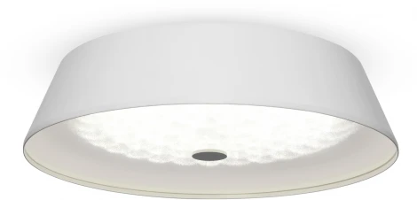 Потолочный светильник Freya Cells FR10013CL-L24W