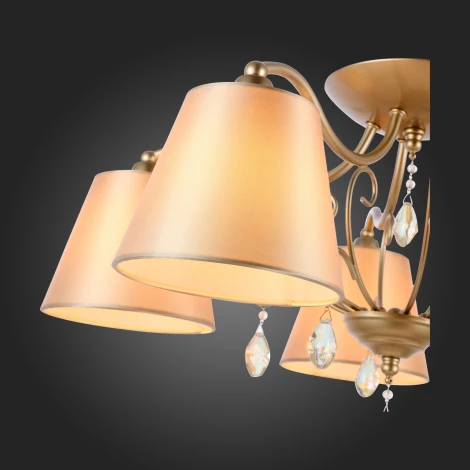 Потолочная люстра ST Luce Rimonio SL1135.102.05