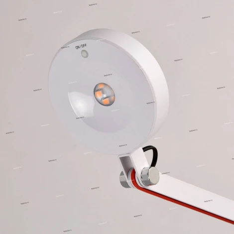 Офисная настольная лампа MW-Light Ракурс 631034001