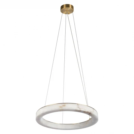 Подвесной светильник светодиодный кольцо Loft It Mondrian 10408/600 (220V, на тросе, кольцо)