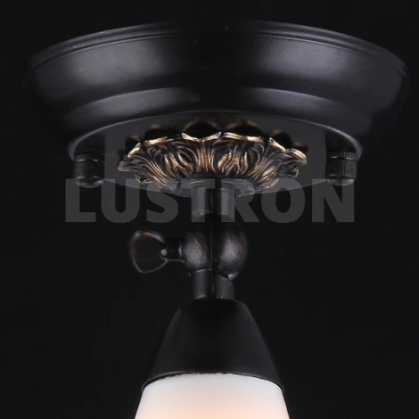 Спот Maytoni Spot 1 ECO001-01-R
