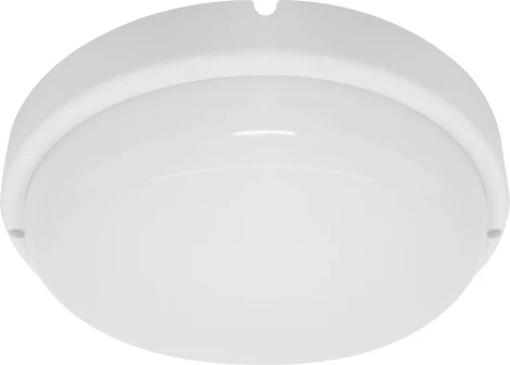 Потолочный светильник круглый Feron AL3005 29606 (LED, 220V, круглые, IP54)