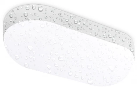 Потолочный светильник светодиодный STREET ST8662 (220V, IP65)