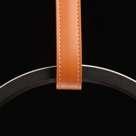 Подвесной светильник DeMarkt Ральф 675015901 (LED, 220V, на проводе, кольцо)