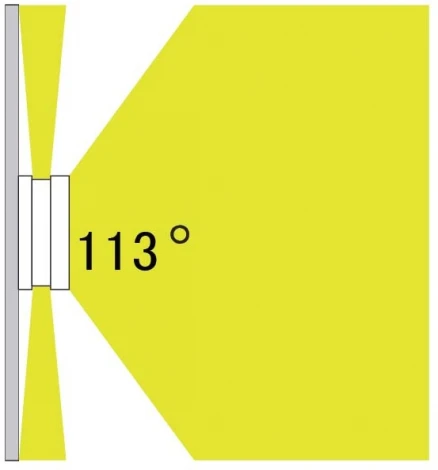 Настенный светильник уличный Oasis Light SIDNEY 3382 Gr