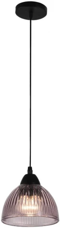 Подвесной светильник Wedo Light Dzhenis WD4004/1P-BK-PK