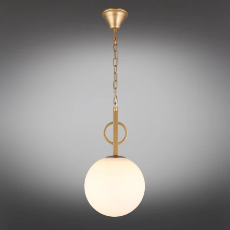 Подвесной светильник Aployt Gracia APL.751.06.01 (220V, на цепи, шар)
