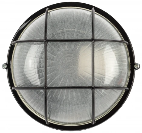 Настенно-потолочный светильник ЭРА НБП 03-60-002 в инд. упаковке НБП 03-60-002 черный