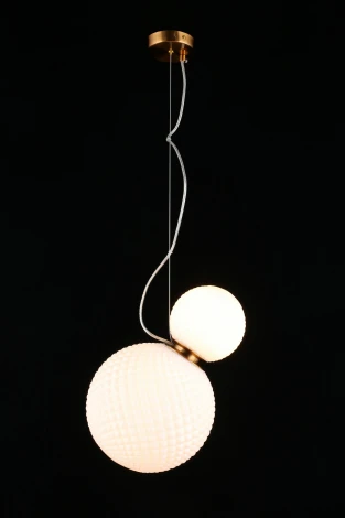 Подвесной светильник Aployt Patunia APL.301.06.02 (220V, на тросе, шарики)
