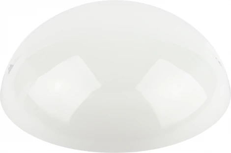 Настенно-потолочный светильник светодиодный ЭРА ДБП 06-12-012 (220V, круглые, IP54)