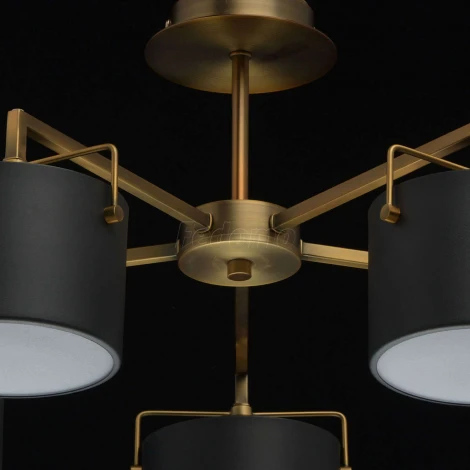 Потолочная люстра MW-Light Сайрус 721010205