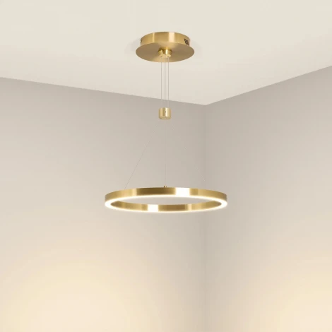 Светильник SP-CONGO-CAN-1-R400-24W Day4000 (GD, 120 deg, 230V) (Arlight, IP20 Металл) 046210