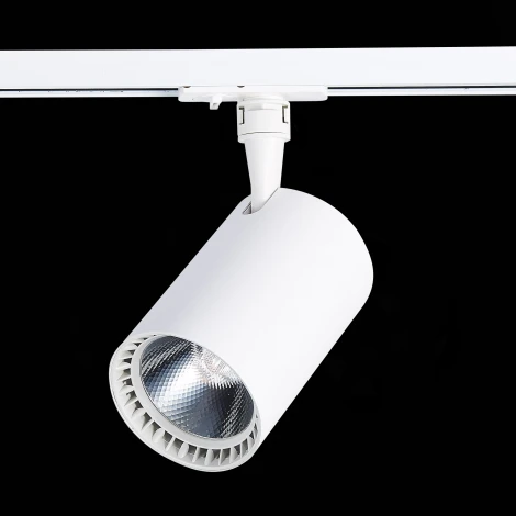 Трековый светильник ST Luce Cami ST351.536.30.24 (LED, 220V, круглые, IP22)