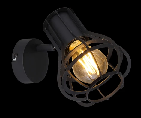 Спот с выключателем Clastra 15388-1 Globo (220V)