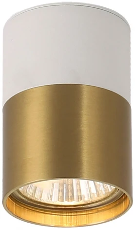 Точечный светильник накладной Lussole Gilbert LSP-8830 (220V, круглые, IP21)