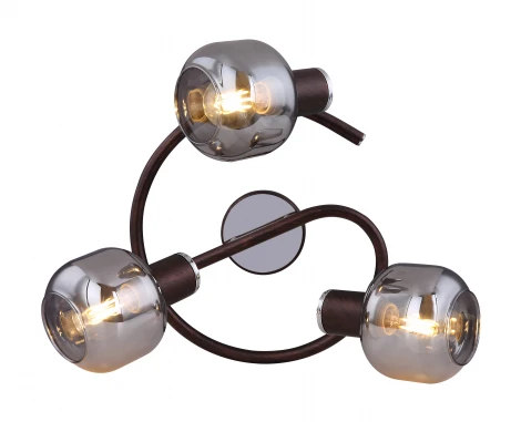 Спот Pallo 54303-3 Globo (220V)