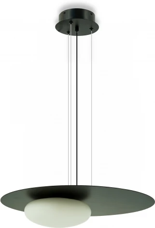 Подвесной светильник Lightera Waddy LE140L-48B (LED, 220V, на тросе)