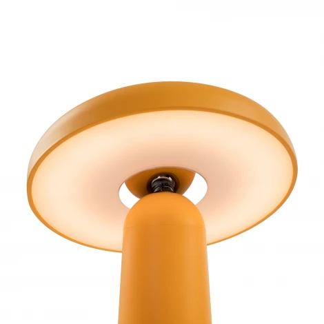 Настольная лампа с аккумулятором Freya Mushroom FR6109TL-L4OR