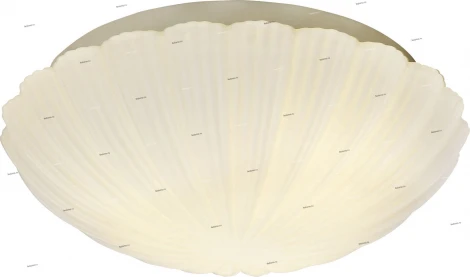 Потолочный светильник ST Luce Bagno SL495.502.03