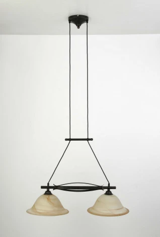 Подвесной светильник Brilliant Fiore 81971/58