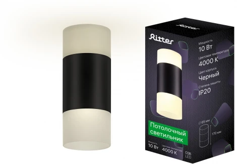 Накладной светильник Ritter Kassel 52064 1