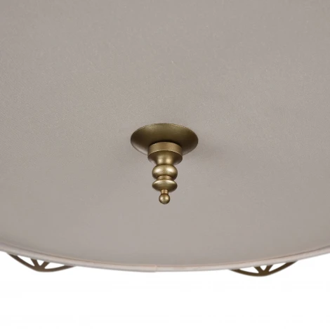 Подвесная люстра Maytoni Burgeon ARM959-PL-06-G
