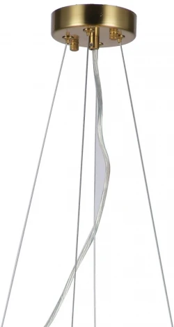 Подвесная люстра Favourite Philomela 3054-8P