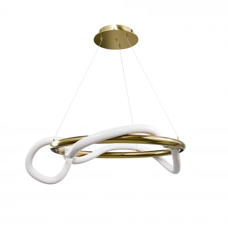 Подвесной светильник кольцо с гибким неоном Lightera Nyasa LE217L-60G