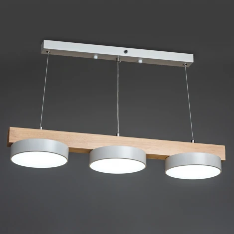 Подвесной светильник светодиодный Ritter Racemo 51607 5