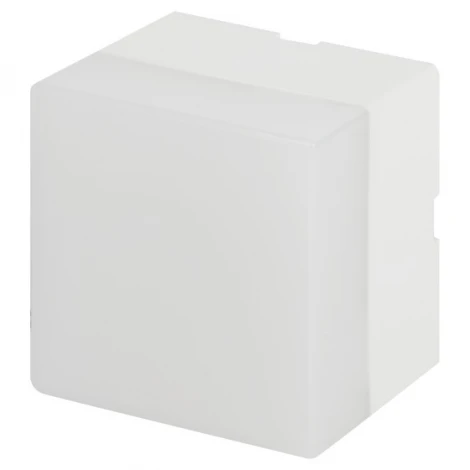 Настенно-потолочный светильник светодиодный ЭРА SML-AC-2-W-4K-04