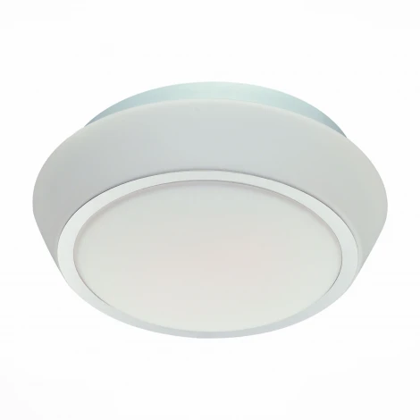 Настенно-потолочный светильник ST Luce Bagno SL496.502.03