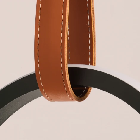 Подвесной светильник DeMarkt Ральф 675015901 (LED, 220V, на проводе, кольцо)