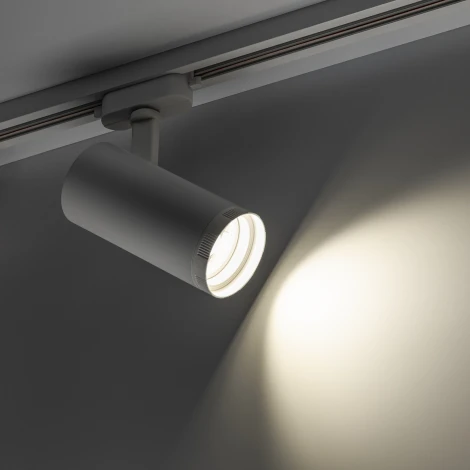Трековый светильник однофазный 220V Ritter Artline 59738 8