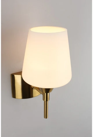 Бра Aployt Lyus APL.840.01.01 (220V)