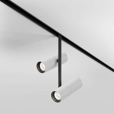 Трековый светильник магнитный 48V Maytoni Elti Duo TR005-4-2X12W-DS-BW (LED, круглые)