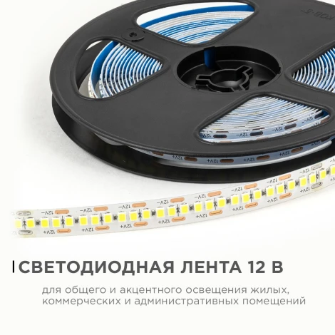 Светодиодная лента 12В 19,2Вт/м 2200 лм/м 6500К SMD2835 240д/м IP20 ширина подложки 10мм, 5м OGM LSE-267